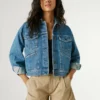 Chino-Shorts in Regular Fit