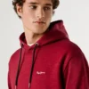 Hoodie in Regular-Fit Hoodie in Regular-Fit