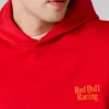 Hoodie in Relaxed Fit