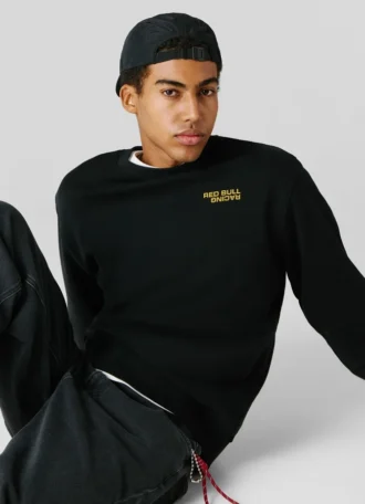 Sweatshirt mit Rundhalsausschnitt und normaler Passform