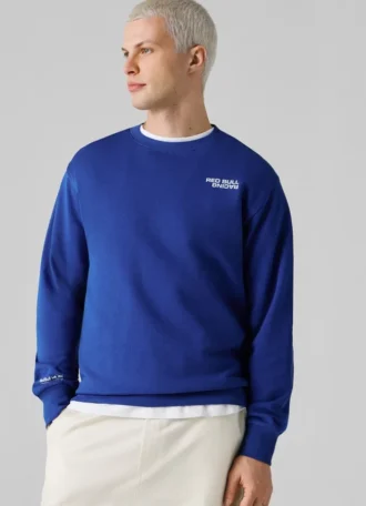Sweatshirt mit Rundhalsausschnitt und normaler Passform