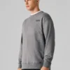 Sweatshirt mit Rundhalsausschnitt und normaler Passform