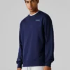 Sweatshirt mit Rundhalsausschnitt und normaler Passform