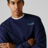 Sweatshirt mit Rundhalsausschnitt und normaler Passform