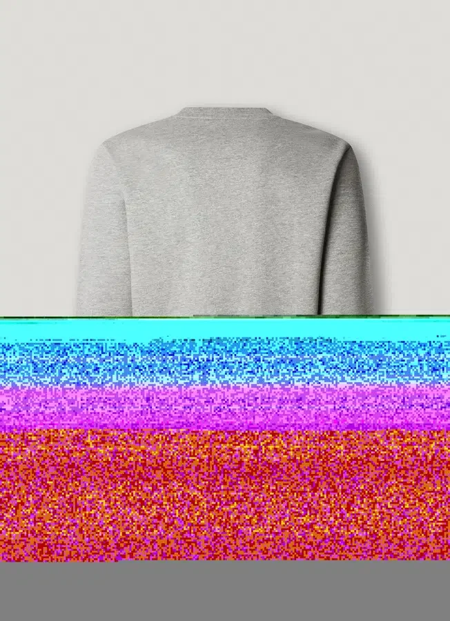 Sweatshirt mit Rundhalsausschnitt und normaler Passform Sweatshirt mit Rundhalsausschnitt und normaler Passform