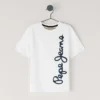 T-Shirt mit Logo-Print in Regular-Passform