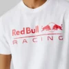 T-Shirt mit Logo-Print in Regular-Passform T-Shirt mit Logo-Print in Regular-Passform